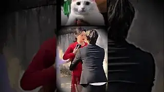 Cat.exe Stopped 💀 | Cat Be Like Reaction 😳 #catmemes