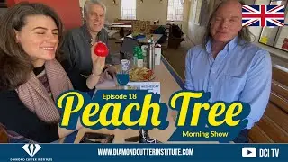 Episode 18 - One seed, multiple results