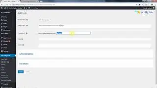 Настройка отчетов по конверсиям в Pretty Link Pro (2017)