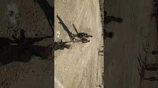 نكف بني صريم البيه ضد اي عدوان خارجي 