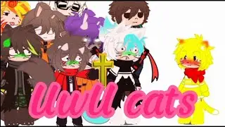 Meus personagens conhecendo um UwU cats