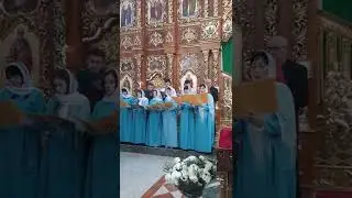 Пливе кача