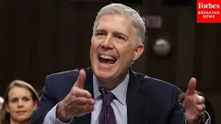 'There Are Harms On Both Sides': Gorsuch Asks Lawyer About Participation Of Trans Athletes