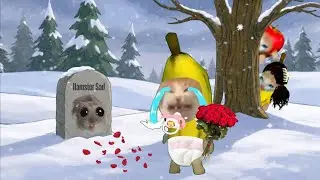 Banana cat crying not happy compilation 475 #babybananacat #happycat #catmemes #bananacat