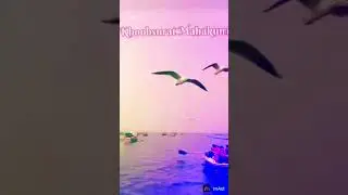 Prayagraj Mein Kumbh Nahaan🙏🙏🙏🙏#youtubeshorts #ganga#video #agartala #shotrs @saponil 4314