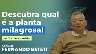 A PLANTA QUE TRATA TUDO! | TOSHIO KINOSHITA - FERNANDO BETETI