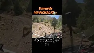 MIANCHAL KHO #gilgitbaltistan #dangerousadventures #shorts