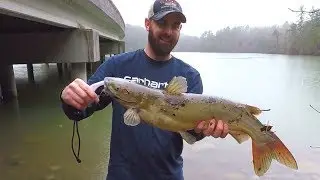 Wintertime Bank Fishing, Tough Catches