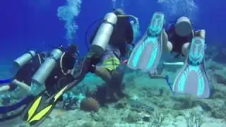 Scuba Diving Cozumel 2 tank dive excursion