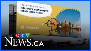 Winnipeg's middle child energy goes national