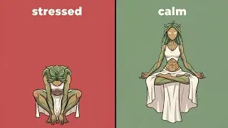 Stop Forcing Calm. Find the Middle Instead.
