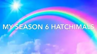 Season 6 hatchimals review