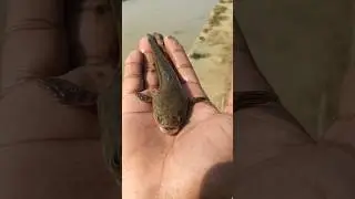 Dil lagana mana tha #shortfeed #video #vlog #youtubeserch #youtubevloggers