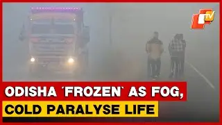Cold Wave, Dense Fog Disrupt Tourism, Daily Life Across Odisha; IMD Alerts 17 Districts