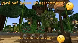 Betr&uuml;gt uns diese Spielerin auf ihren GS ???? / Minecraft Scammer suchen