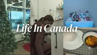 Жизнь уставшей мамы | Дни из моей жизни в Канаде | Видеодневник мамы | Готовка, работа, семья