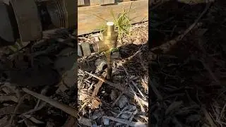 Installing a Pressure Limiting Valve #plumbing  #diy #shorts #hack #subscribe  #tips #foryou