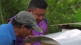 The Amazon Conservation Team Suriname Stingless Bee Honey Project | Amazon Conservation Team