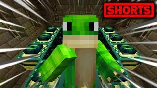Totally Legit Speedrun World Record