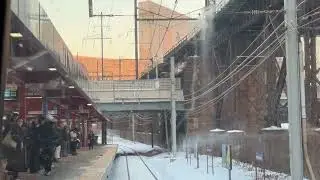 Philadelphia Penn medicine station rail fan window.  Snow storm Fern.  