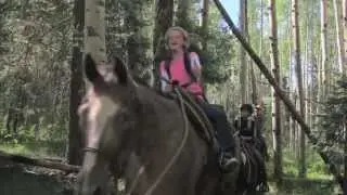 Bucks Livery - Trail Rides, Pack Trips, Big Game Hunts, Outfitters, Horse Rides - Durango, Colorado