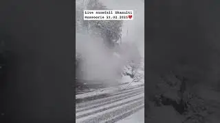 Dhanulti live snowfall ❤️#mussoorie #dhanulti #live #snowfall #nature #feeling