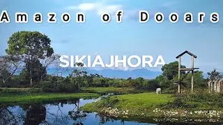 Sikiya Jhora। Amazon of Dooars | সিকিয়াঝোরা | ডুয়ার্সের অ্যামাজন | buxa Tiger Reserve #Alipurduar
