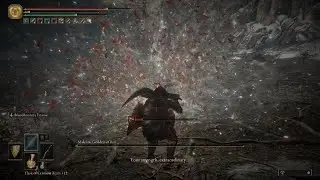 ELDEN RING - Malenia Defeat Dialogue
