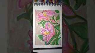 Drawing oil pastel lilies #oilpastel #drawing #flowers #art #shorts #artprocess #colortheory #fyp