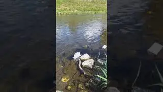 1. Mai Dampfer anschieben auf der Elster in Plauen