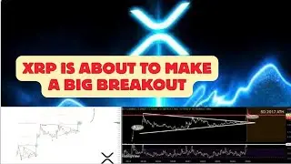 XRP Is In Accumulation Phase, Preparing For Potential Breakout