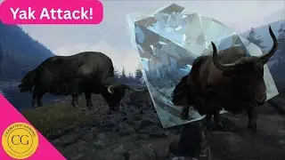 Yak Attack! theHunter: Call of the Wild