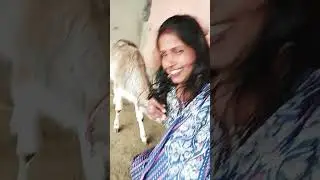 Desi life is the best life! 😍 #desivlog #shorts