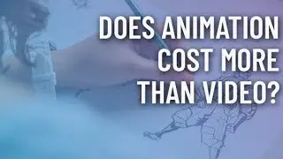 Does Animation Cost More than Video?