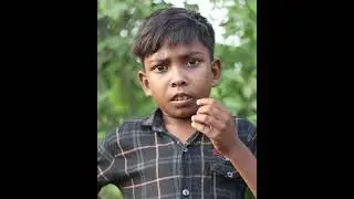 ৬৪ জেলায় বিয়ে করে বিশ্বরেকর্ড | Viral_Shiba | Marriage Education | Borsatv