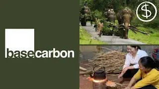 Base Carbon: A Position Of Strength In Bleak Times