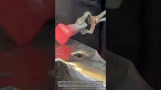 Forging Glowing Hot Iron Into a Perfect Square Shape on the Anvil