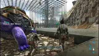 Online Wiping Server 100 Oil Cave with 2 Towers