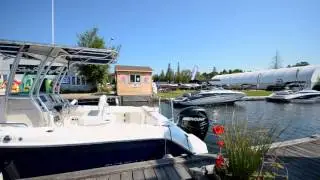 Pride of Balsam Lake