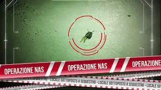 C’è una cavalletta in cucina! La scoperta shock al ristorante cinese | Operazione NAS