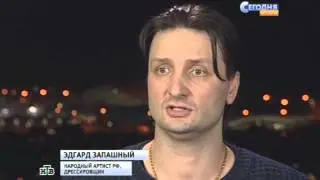 Братья Запашные. «Спасибо, что живой».