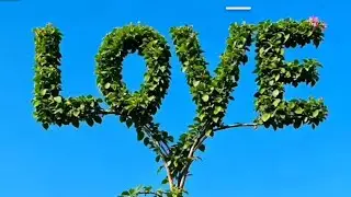 ስወች ጋር ለመኖር ምላስ ሳይሆን ትግስት ያስፈልጋል