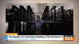 Immersive mystery &lsquo;The Stacks&rsquo; to bring former Moline library to life
