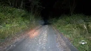 Woodcock in the Road 2 #woodcock #bestbackroad #vermont #naturetherapy