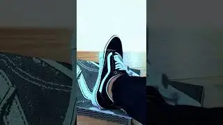 vans old skool pro