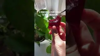 3 recipes to prep for flu season (full recipes on my channel)