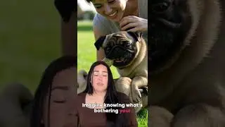 The MostGifted Pet Psychics (800) 726-4977 #petpsychic #psychic #mostgiftedpsychics