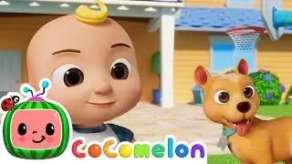🐾 A New Puppy Friend! JJ & B.I.N.G.O Sing and Play | CoComelon | Songs for Kids | Healthy Habits