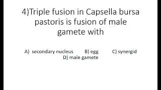 NEET/IISER/CBSE/plus two  biology winner questions