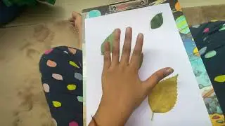 Bug drawing ✍️ 